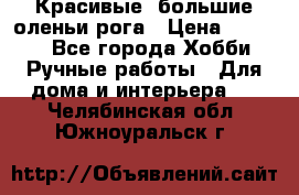 Красивые  большие оленьи рога › Цена ­ 3 000 - Все города Хобби. Ручные работы » Для дома и интерьера   . Челябинская обл.,Южноуральск г.